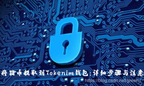如何将猪币提取到Tokenim钱包：详细步骤与注意事项
