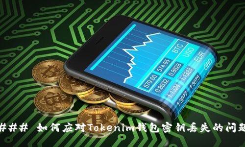 ### 如何应对Tokenim钱包密钥丢失的问题