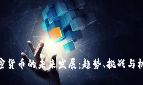 加密货币的未来发展：趋势、挑战与机遇