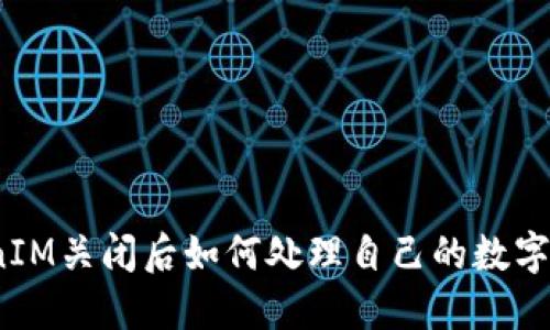 TokenIM关闭后如何处理自己的数字货币？
