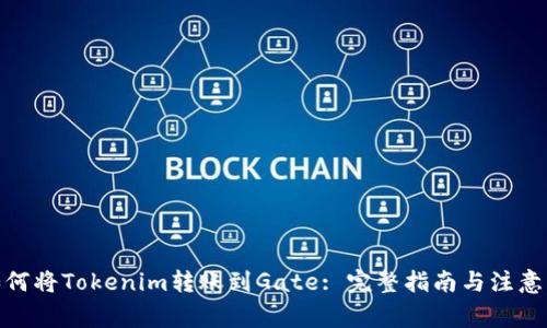 : 如何将Tokenim转账到Gate: 完整指南与注意事项
