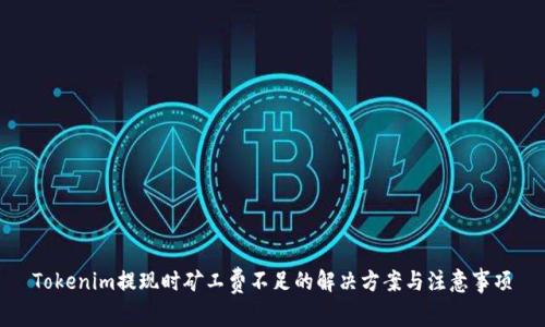 Tokenim提现时矿工费不足的解决方案与注意事项
