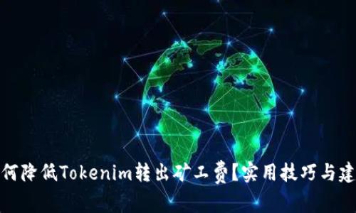 如何降低Tokenim转出矿工费？实用技巧与建议