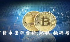 国内加密货币案例分析：现状、挑战与未来展望
