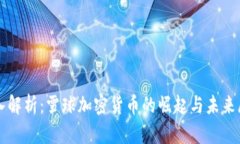 深入解析：雪球加密货币的崛起与未来展望