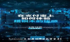 Tokenim：支持存储哪些数字