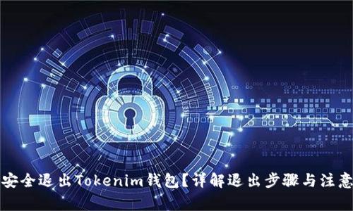 如何安全退出Tokenim钱包?详解退出步骤与注意事项
