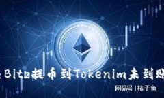 如何解决Bitz提币到Tokeni