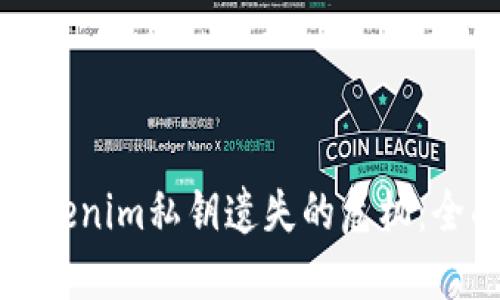 如何应对Tokenim私钥遗失的危机：全面解决方案