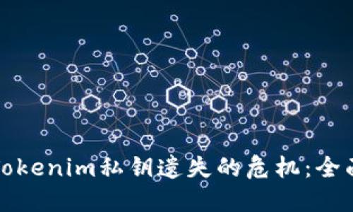 如何应对Tokenim私钥遗失的危机：全面解决方案