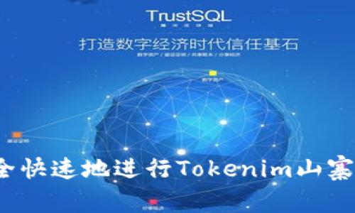 如何安全快速地进行Tokenim山寨币转账？