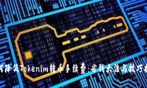 如何降低Tokenim转币手续费：省钱大法与技巧揭秘