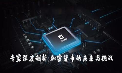 专家深度剖析：加密货币的未来与挑战