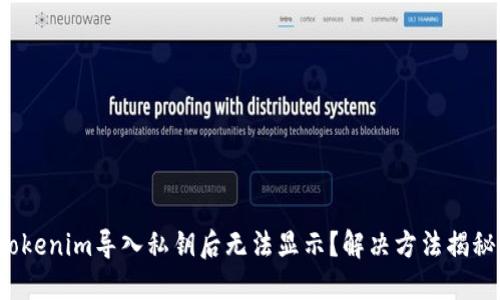 Tokenim导入私钥后无法显示？解决方法揭秘！