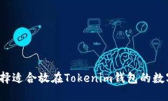 如何选择适合放在Tokenim钱