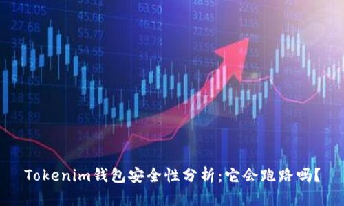 Tokenim钱包安全性分析：它会跑路吗？