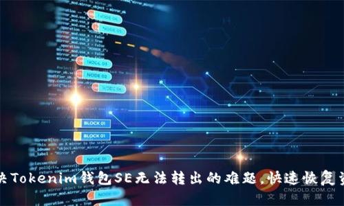 如何解决Tokenim钱包SE无法转出的难题，快速恢复资金流转