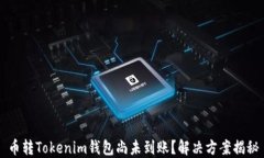 币转Tokenim钱包尚未到账？