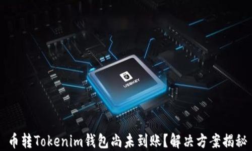 
币转Tokenim钱包尚未到账？解决方案揭秘