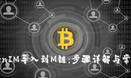 如何将TokenIM导入到M链：步骤详解与常见问题解答