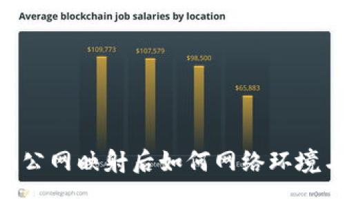 Tokenim公网映射后如何网络环境与安全性