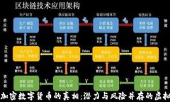 揭露加密数字货币的真相