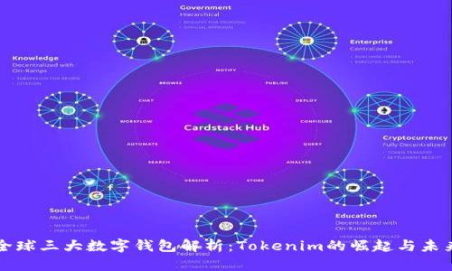 全球三大数字钱包解析：Tokenim的崛起与未来