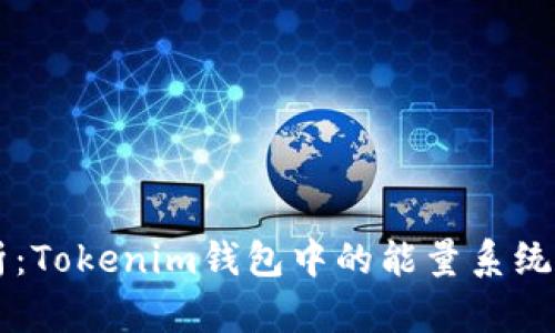 深入解析：Tokenim钱包中的能量系统及其应用