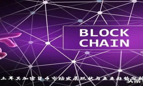 土耳其加密货币市场发展现状与未来趋势分析