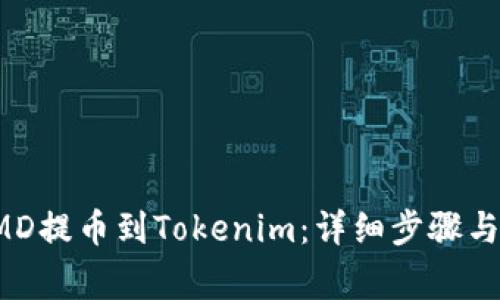 如何将PMD提币到Tokenim：详细步骤与注意事项