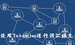 如何高效使用Tokenim进行词汇填充：全面指南