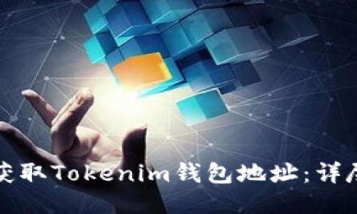 如何获取Tokenim钱包地址：详尽指南