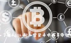 深入了解Dash币：加密货币