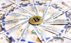 加密货币金融币：投资风