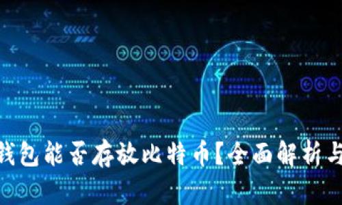 Tokenim钱包能否存放比特币？全面解析与使用指南